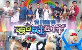Fluffies Arena Special – 我的寵物夏日反斗嘉年華 – Episode 02