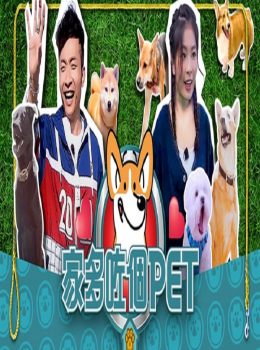 Dogs and Kids – 家多咗個PET
